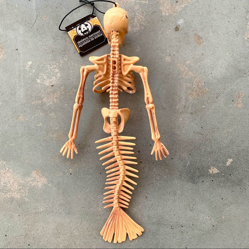 Mermaid Skeleton 💀 - Picture 3 of 3